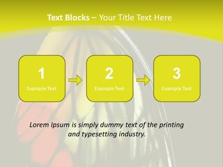 Butterfly PowerPoint Template