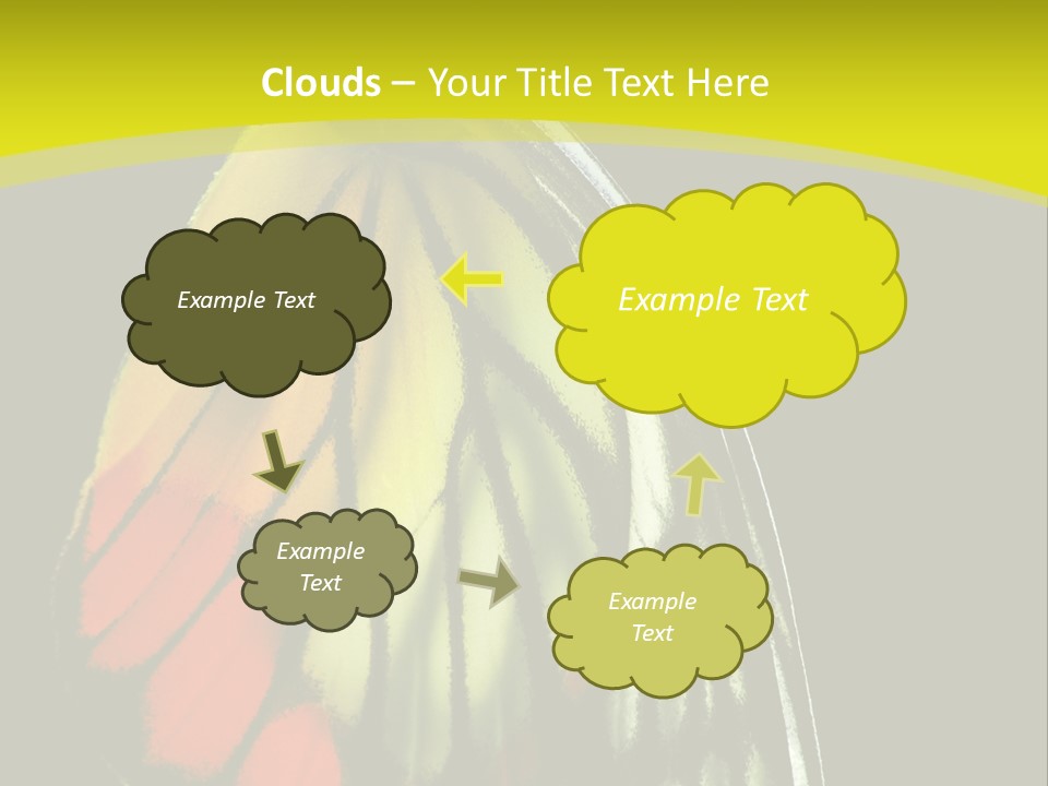 Butterfly PowerPoint Template