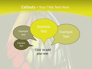Butterfly PowerPoint Template