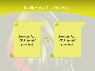 Butterfly PowerPoint Template