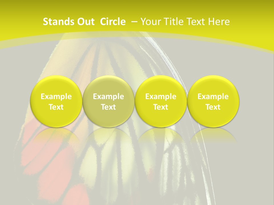 Butterfly PowerPoint Template