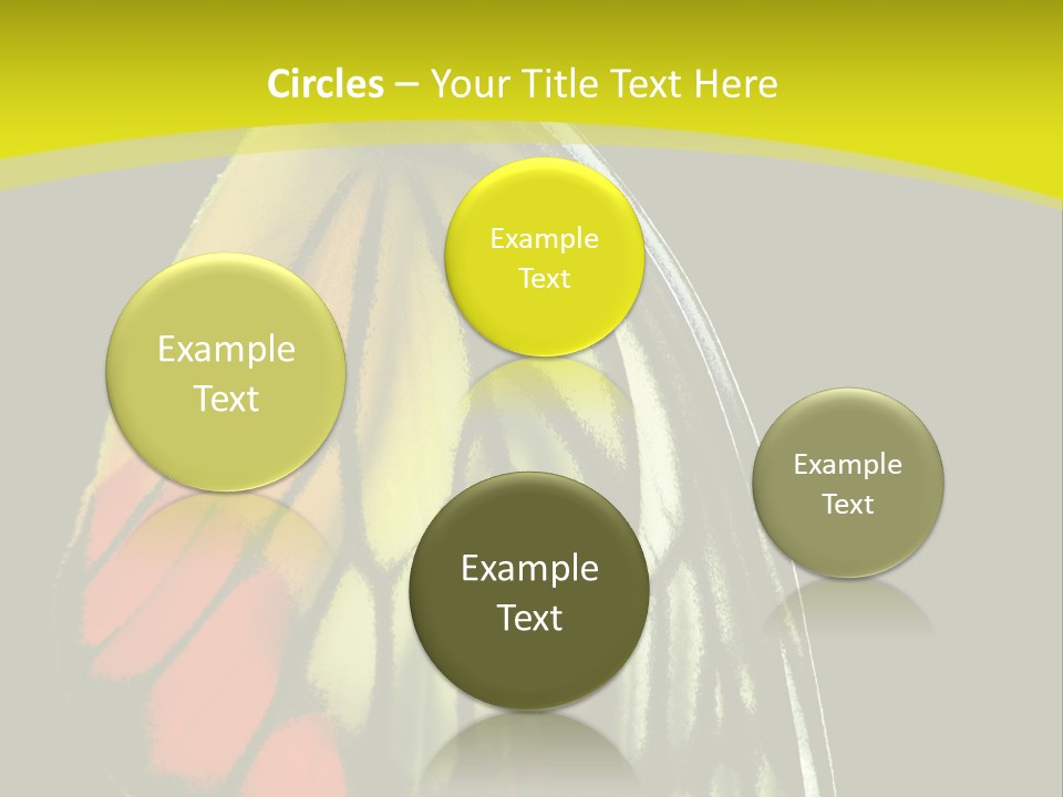 Butterfly PowerPoint Template