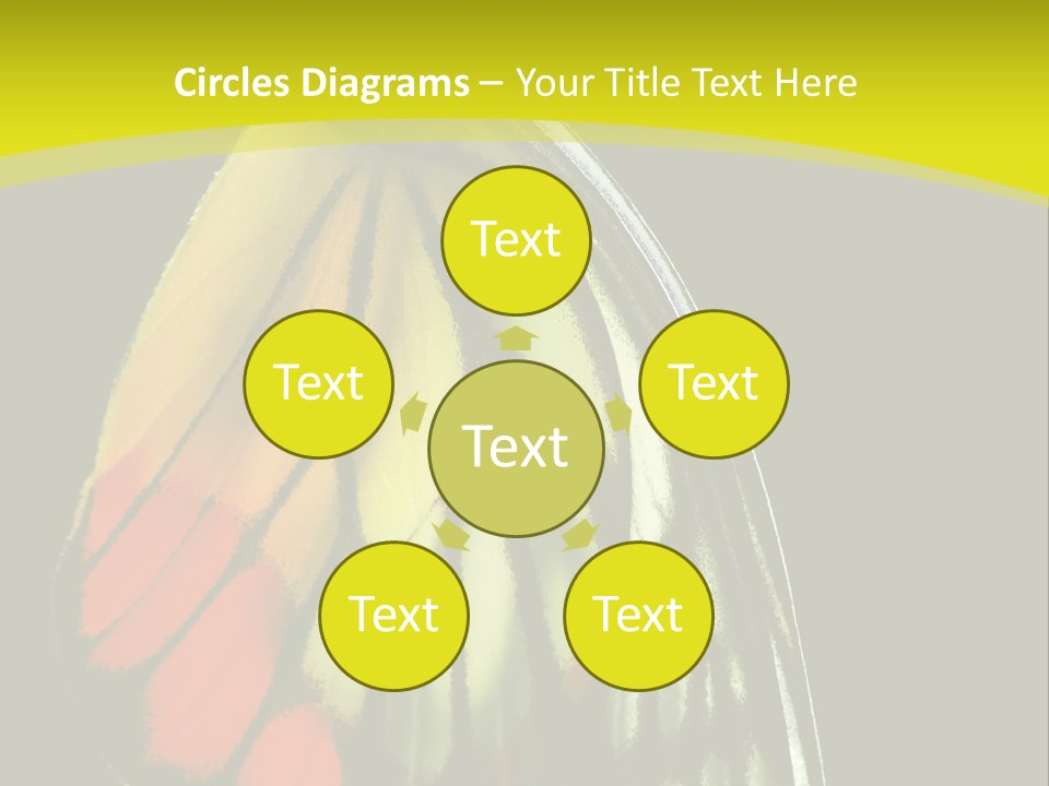 Butterfly PowerPoint Template