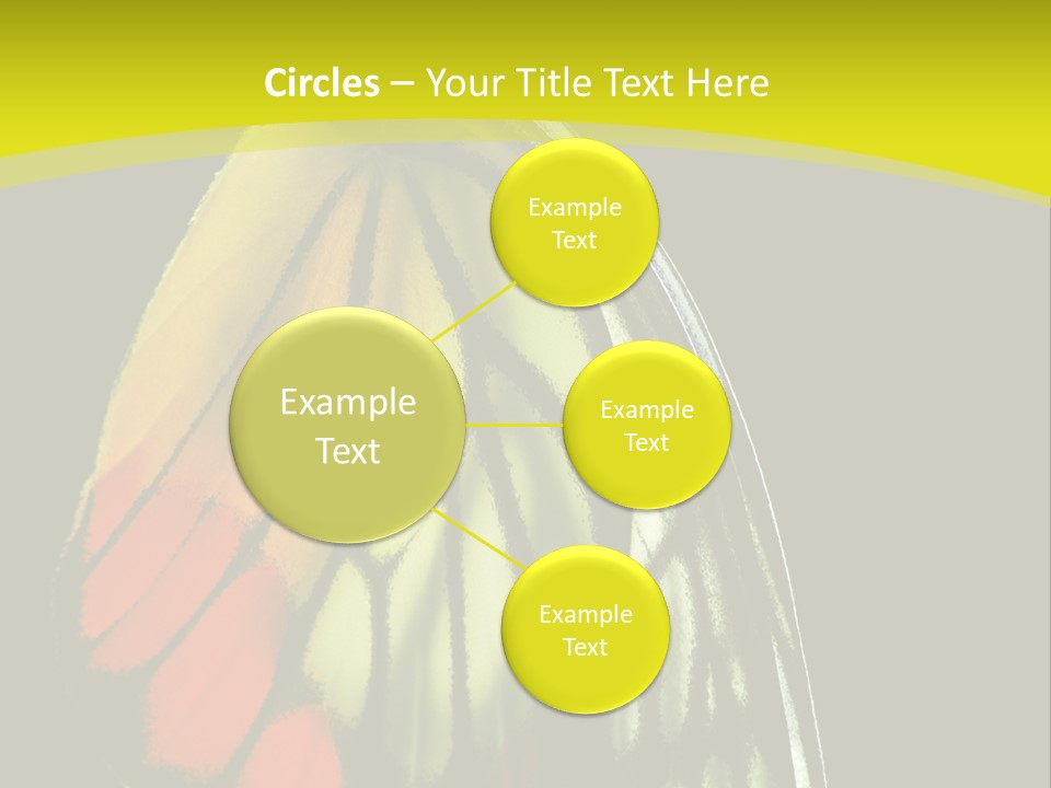 Butterfly PowerPoint Template