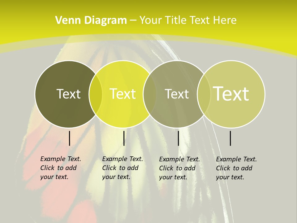 Butterfly PowerPoint Template