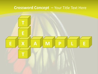 Butterfly PowerPoint Template