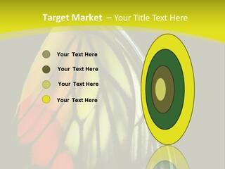 Butterfly PowerPoint Template