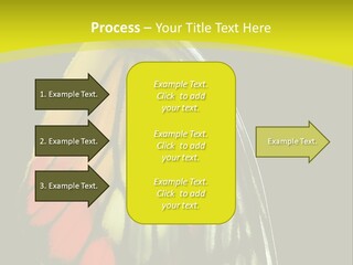 Butterfly PowerPoint Template