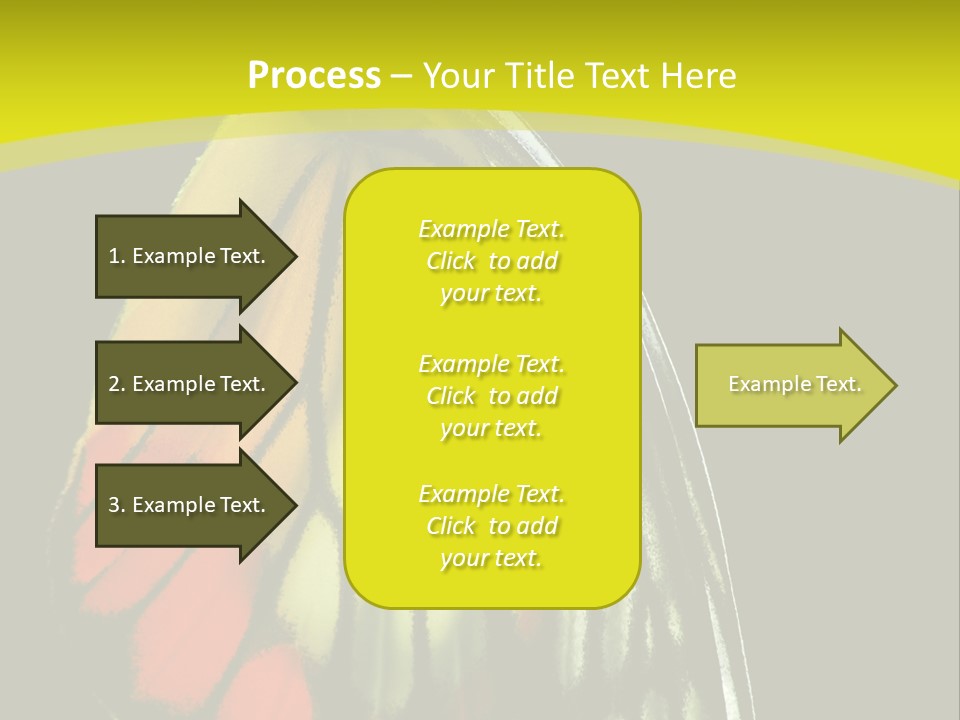 Butterfly PowerPoint Template