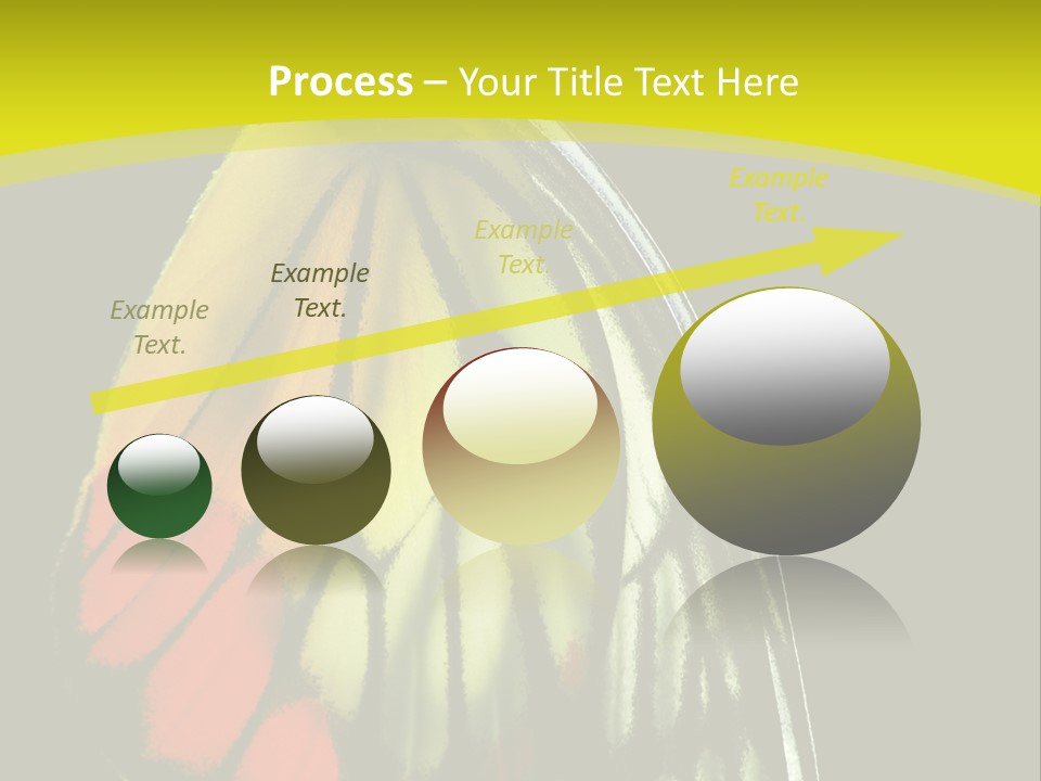 Butterfly PowerPoint Template