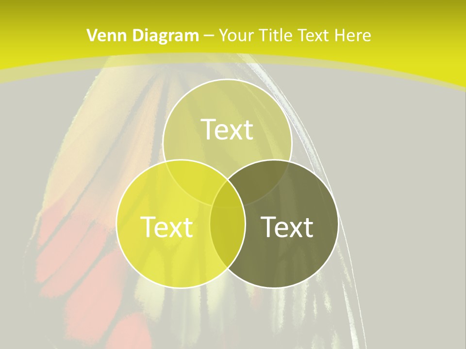 Butterfly PowerPoint Template