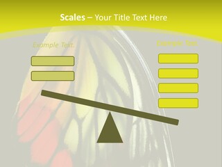 Butterfly PowerPoint Template