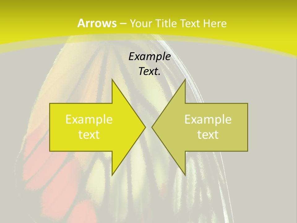Butterfly PowerPoint Template