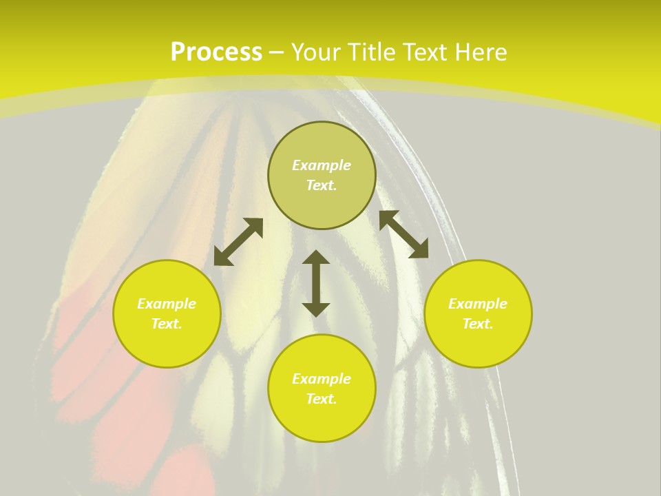 Butterfly PowerPoint Template