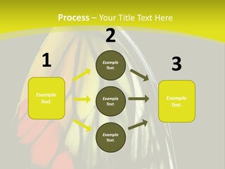 Butterfly PowerPoint Template