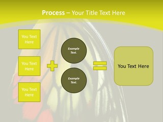 Butterfly PowerPoint Template