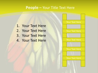 Butterfly PowerPoint Template