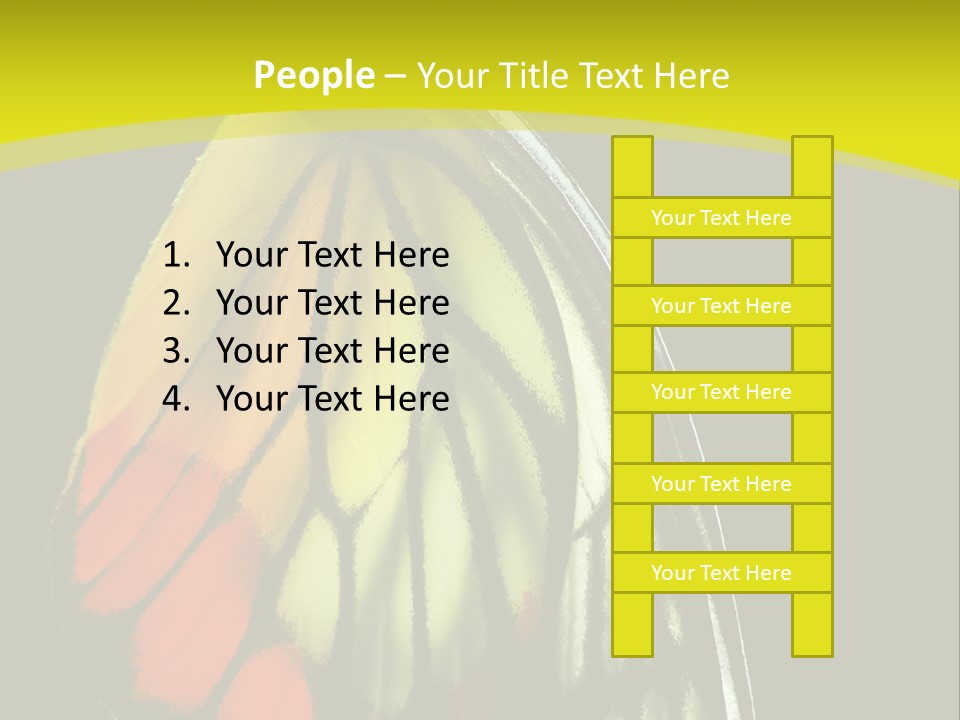 Butterfly PowerPoint Template