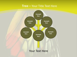 Butterfly PowerPoint Template
