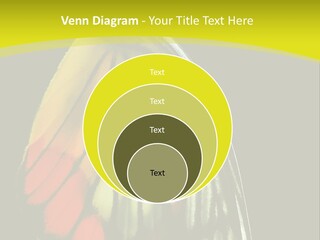Butterfly PowerPoint Template