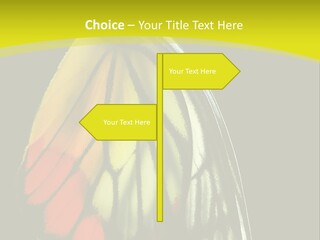 Butterfly PowerPoint Template