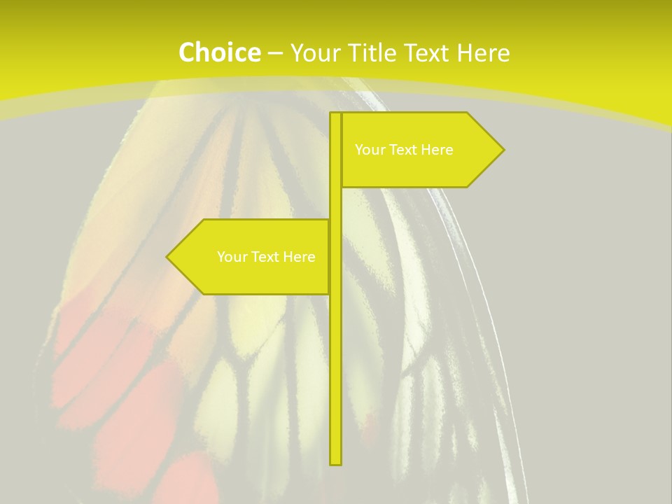 Butterfly PowerPoint Template