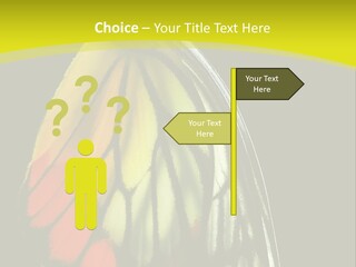 Butterfly PowerPoint Template