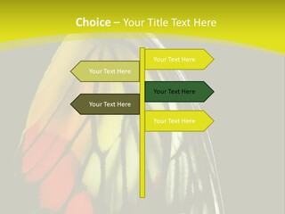 Butterfly PowerPoint Template