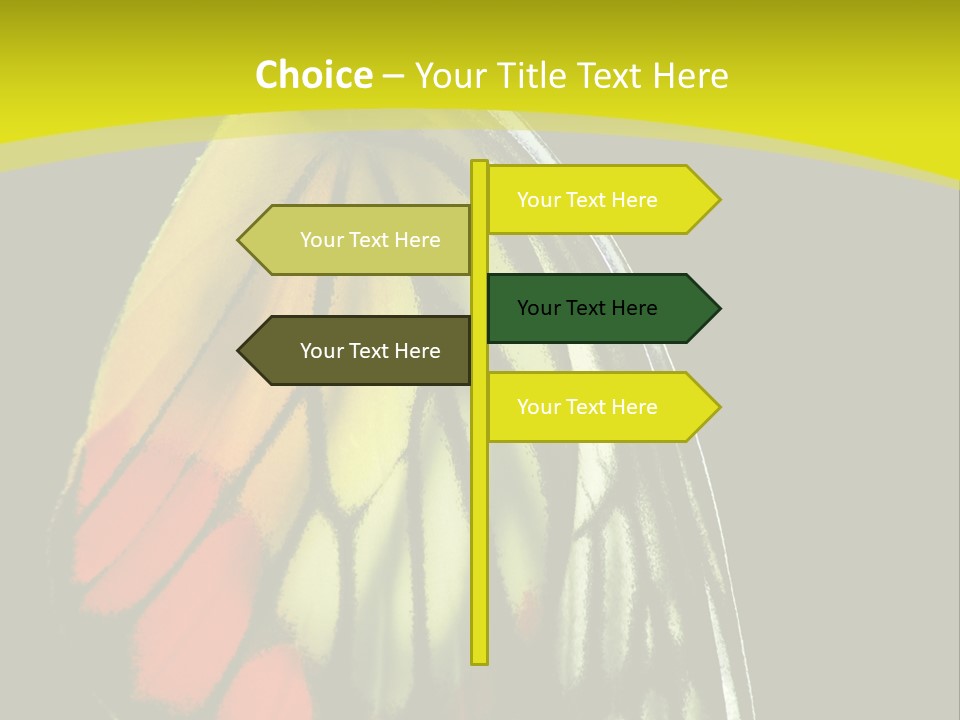 Butterfly PowerPoint Template