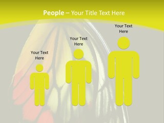 Butterfly PowerPoint Template