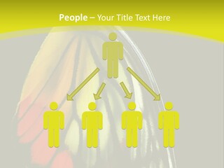 Butterfly PowerPoint Template