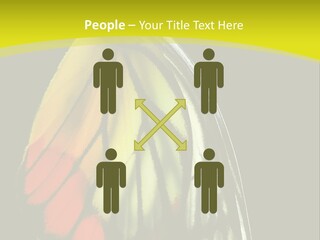 Butterfly PowerPoint Template