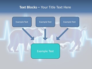 Bitcoin Is A Fight Between Bears And Bulls PowerPoint Template