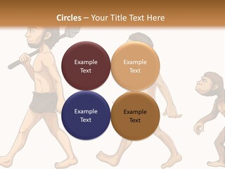 Human Evolution PowerPoint Template