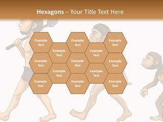 Human Evolution PowerPoint Template