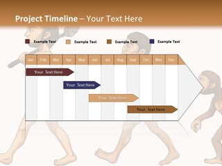 Human Evolution PowerPoint Template