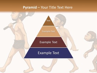 Human Evolution PowerPoint Template