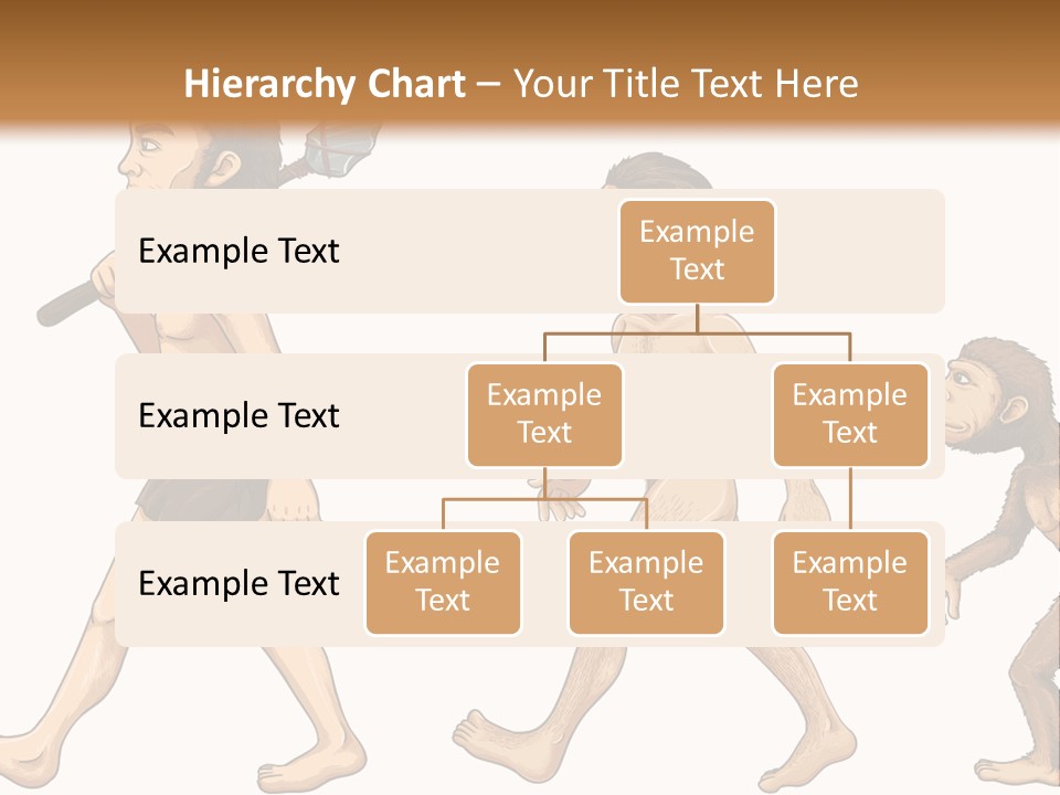 Human Evolution PowerPoint Template