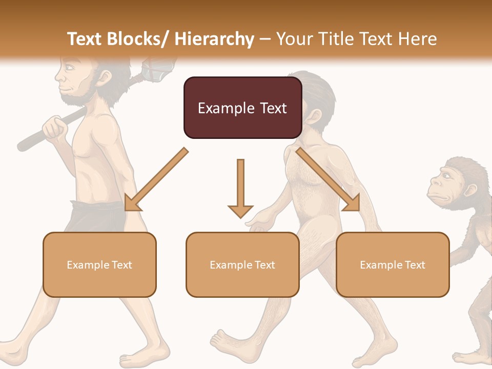 Human Evolution PowerPoint Template