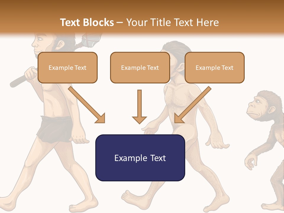 Human Evolution PowerPoint Template