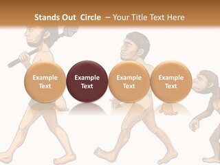 Human Evolution PowerPoint Template