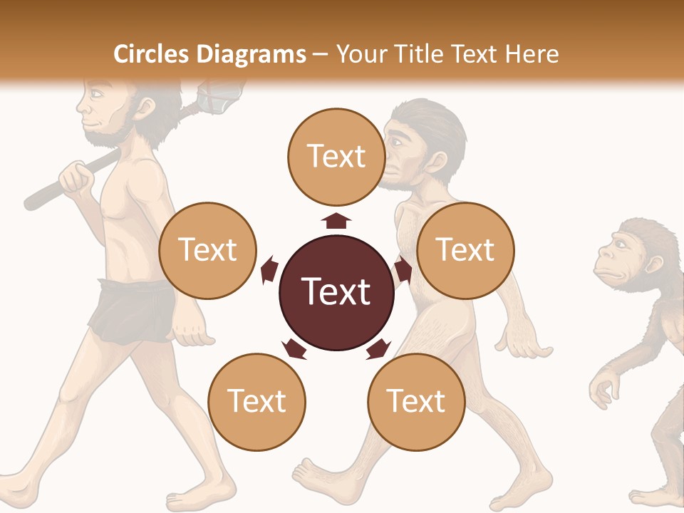 Human Evolution PowerPoint Template