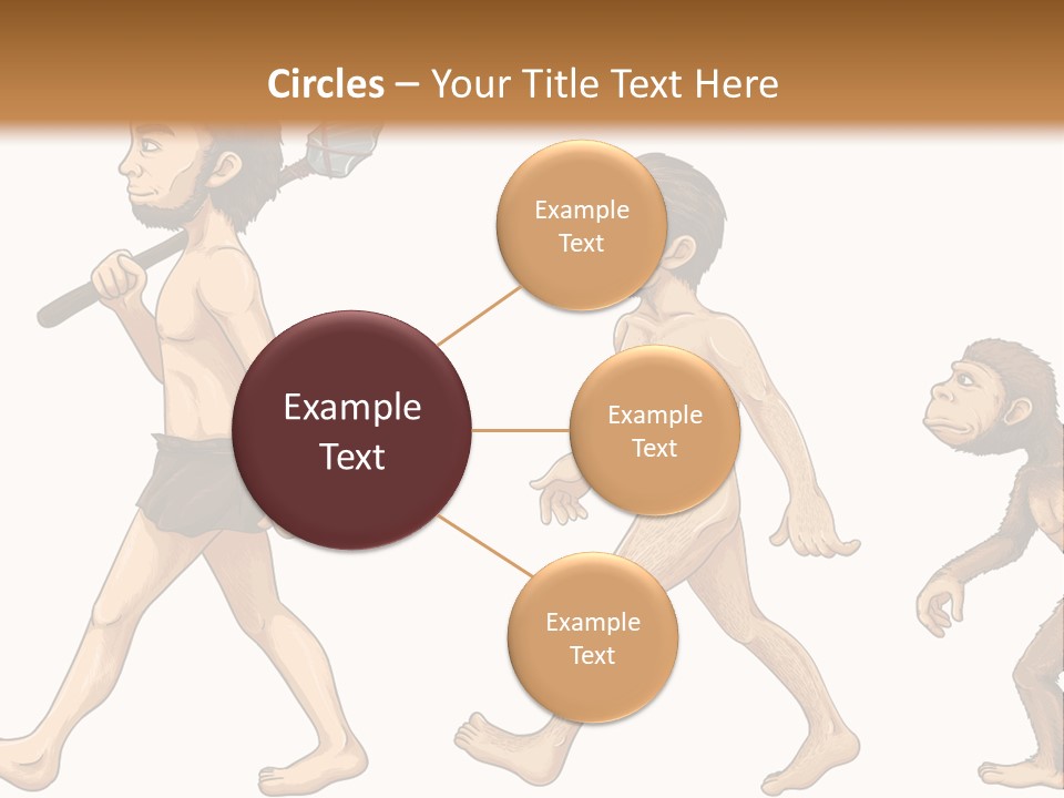 Human Evolution PowerPoint Template