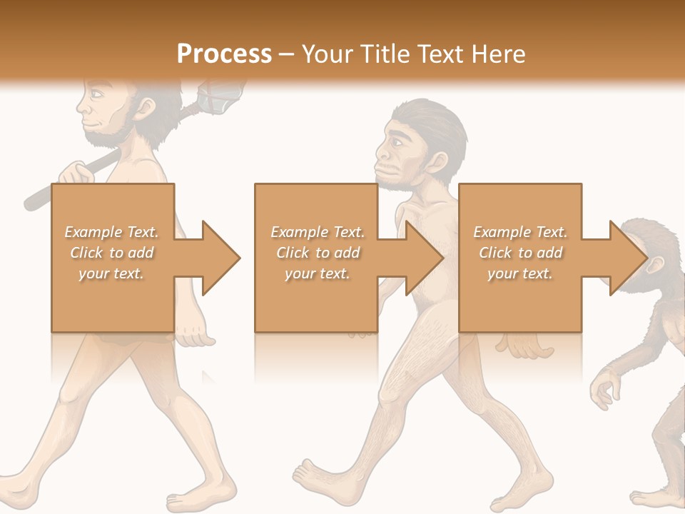 Human Evolution PowerPoint Template
