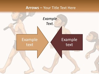 Human Evolution PowerPoint Template