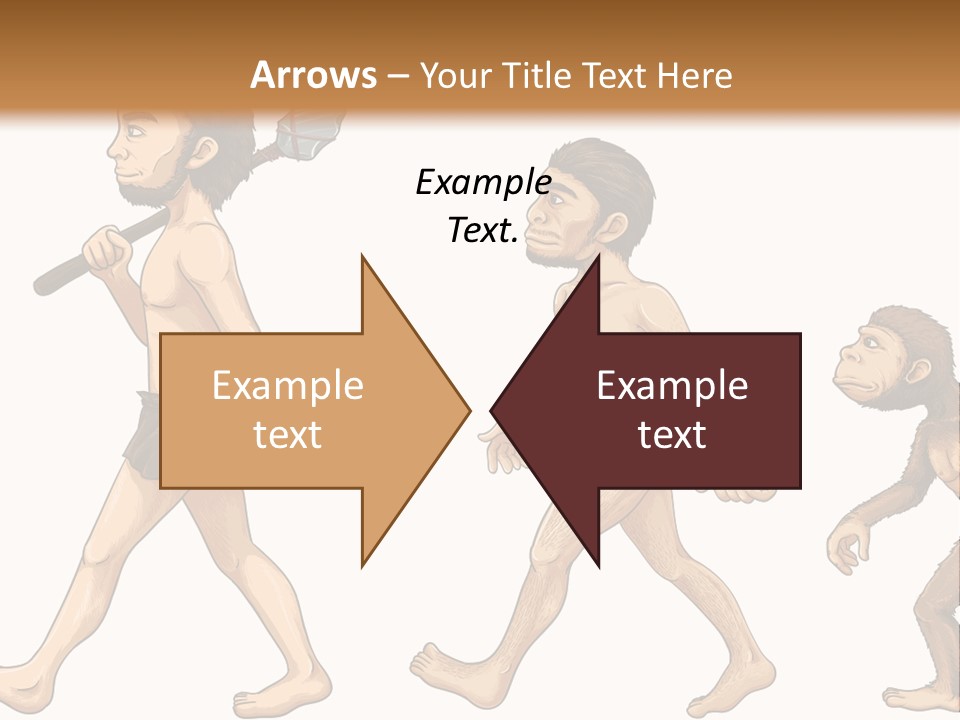 Human Evolution PowerPoint Template