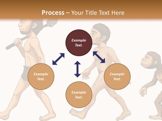 Human Evolution PowerPoint Template