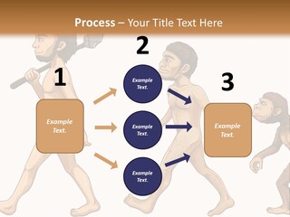Human Evolution PowerPoint Template