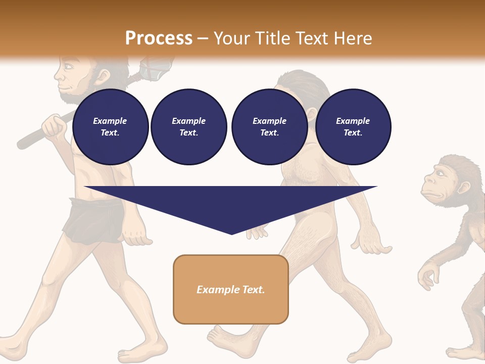 Human Evolution PowerPoint Template