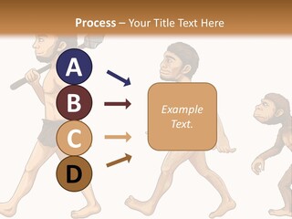 Human Evolution PowerPoint Template
